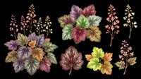 Colorful foliage and flowering plants isolated on transparent background, ready for t-shirt design, clipart, stickers, sublimation, and print-on-demand projects.