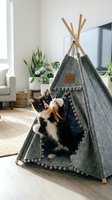 Calico cat peeking out from gray felt teepee tent with wooden poles and pom-pom trim in bright living room with plants and natural light for pet furniture and home decor.