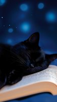 Black cat sleeping peacefully on open book against dreamy blue bokeh background, creating cozy and magical atmosphere for pet lovers.