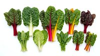 Fresh colorful chard and leafy greens variety isolated on white background for healthy cooking and nutrition concepts.