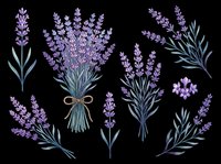 Lavender bouquet and branches clipart set, isolated on transparent background. Great for stickers, t-shirt design, sublimation, print on demand, and floral crafts.