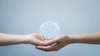 Two hands gently holding glowing digital globe sphere representing global connection, technology transfer, and worldwide communication concepts.