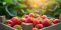 Fresh ripe strawberries in wooden crate with green leaves in sunny garden setting for healthy eating and organic farming concepts.