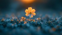 Golden flower with glowing petals standing alone among frost-covered buds at dawn, symbolizing hope, resilience, and new beginnings in nature.