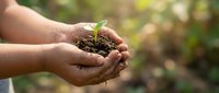 Hands holding young seedling with soil in cupped palms against blurred green garden background, symbolizing growth, environmental care, and sustainable agriculture practices.
