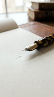 Vintage fountain pen with tortoiseshell pattern on blank paper with old books in background for writing and correspondence projects.