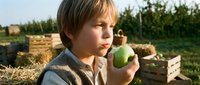 Young boy with light brown hair, Caucasian ethnicity, holding green apple in orchard setting with hay bales and wooden crates. Suitable for agriculture, farming, harvest, and healthy eating campaigns.