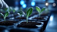 Young green seedlings growing in plastic starter pots with rich soil, illuminated by soft blue bokeh lights, representing growth and new beginnings in gardening.