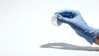 Medical professional hand in blue latex glove holding petri dish for laboratory analysis and scientific research on clean white background.