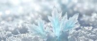 Delicate ice crystals forming intricate frost patterns on snow surface with sparkling bokeh lights creating magical winter wonderland atmosphere for seasonal designs.