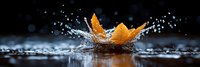 Orange autumn leaf creates dramatic water splash crown with droplets frozen in motion against dark background.