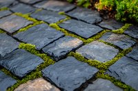 Weathered cobblestone path with vibrant green moss growing between dark gray stone blocks, creating natural geometric pattern in garden walkway.