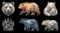 Isolated bear illustrations including adult grizzly, brown bear, polar bear with cub, paw print, and black bear designs on transparent background. Ready for t-shirt designs, clipart, stickers, sublimation, and print-on-demand products.