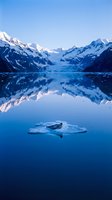 Seal resting on floating ice floe in pristine alpine lake surrounded by snow-capped mountain peaks and their mirror reflections in calm blue water.