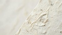 Ancient fossil imprint preserved in limestone rock formation showing detailed skeletal remains for paleontology and geological research applications.