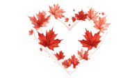 Red maple leaves arranged in heart shape on white background, romantic autumn composition for cards and seasonal designs. Watercolor style botanical art.