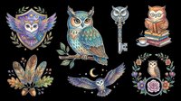 Cute owl clipart set isolated on transparent background, featuring heraldic crest, perched owl, key, flying owl, floral wreath, and feathers for stickers, t-shirts, print on demand.