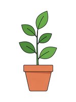 Young green plant growing in terracotta pot isolated on white background. Minimalist line art style seedling with fresh leaves for eco and gardening concepts.