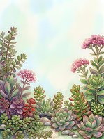Watercolor succulent garden frame with pink flowers and green plants on soft pastel background for botanical design projects and natural decor.