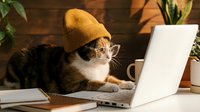 Adorable tabby kitten wearing yellow knit hat and glasses sitting at laptop computer on wooden desk. Cute pet working from home office concept.