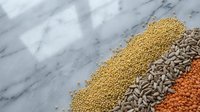 Assorted raw legumes and seeds arranged in colorful rows on marble surface for healthy cooking and nutrition concepts.