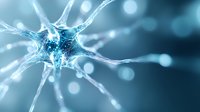 Glowing neuron cell with synaptic connections on blue background, microscopic view of nervous system activity showing neural network and brain cell communication.