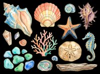 Watercolor ocean collection featuring seashells, starfish, sea glass, coral, sand dollar, seahorse, and driftwood isolated on transparent background. Ready for t-shirt designs, clipart, stickers, sublimation, and print-on-demand projects.