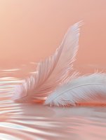 Delicate white feathers floating on reflective surface against coral pink background, creating ethereal atmosphere with soft light and gentle shadows.