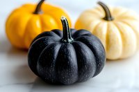 Black, orange and white decorative pumpkins arranged on white background, seasonal autumn composition with mini gourds for Halloween and fall decor.