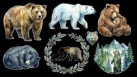 Collection of isolated bear illustrations on transparent background, ready for t-shirt design, clipart, stickers, sublimation, and print-on-demand products. Includes brown bears, polar bear, sleeping bear, and forest scene variations.