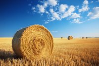 Round hay bales in golden wheat field under bright blue sky with fluffy white clouds, rural agricultural landscape after harvest.
