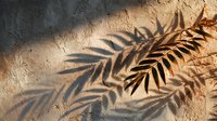 Shadow of palm leaf branch on textured beige wall creating natural contrast and organic pattern in warm sunlight. Minimalist home decor concept.
