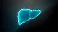 Human liver anatomy with glowing cyan blue effect on dark background for medical education and healthcare presentations.