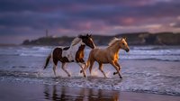 Three wild horses galloping along ocean beach at sunset with dramatic purple sky and lighthouse in background creating magical coastal scene.