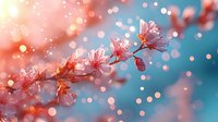 Pink cherry blossoms branch with delicate petals against turquoise blue background with bokeh lights creating dreamy spring atmosphere for nature backgrounds.
