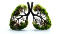 Lungs shaped by trees and green moss on white background, representing environmental health and nature connection to human anatomy. Medical concept art.