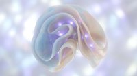 Iridescent abstract organic shape with pearlescent pastel tones, glowing purple light accents, and soft bokeh background for luxury design use.