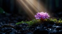 Delicate purple wildflower blooming on mossy ground illuminated by magical sunbeam in dark forest. Natural light creates mystical atmosphere in woodland scene.