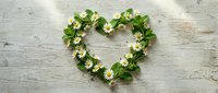 Heart-shaped wreath made of fresh green strawberry leaves and white flowers on rustic wooden background for romantic decoration and natural design projects.