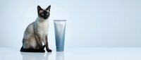 Siamese cat sitting next to blue cosmetic tube on white background. Pet care product advertisement concept for veterinary skincare and grooming supplies.