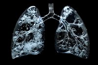 Detailed anatomical visualization of human lungs with bronchial tree structure illuminated in glowing white against black background, perfect for medical education and healthcare presentations.