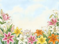 Watercolor floral border with colorful lilies and calla flowers on soft sky background, copy space for greeting cards and invitations.