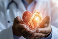 Medical professional holding glowing anatomical heart model in hands, representing cardiovascular care and heart health awareness in healthcare setting.