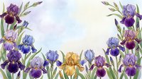Watercolor iris flowers in purple, blue, and golden yellow with green stems arranged on light background, ideal for botanical art, greeting cards, and floral design projects.