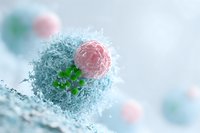 Microscopic view of immune cell attacking pink cancer cell with green receptor proteins in light blue medical environment.