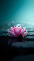 Pink lotus flower floating on calm water surface with soft bokeh lights and turquoise gradient background for meditation and wellness concepts.
