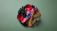 Flat lay arrangement of red rose petals, purple flowers, black berries, and dried lichen on a green background for natural beauty concepts.