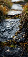 Close-up of shallow stream flowing over dark rocks with dried grass and moss, shallow depth of field, nature and outdoor environments.