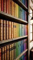 Vintage library bookshelf with colorful antique books arranged on wooden shelves near window with natural light for academic and literary themes.