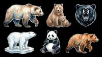 Six watercolor bear clipart set isolated on transparent background, ready for stickers, t-shirt design, print on demand, and sublimation projects.